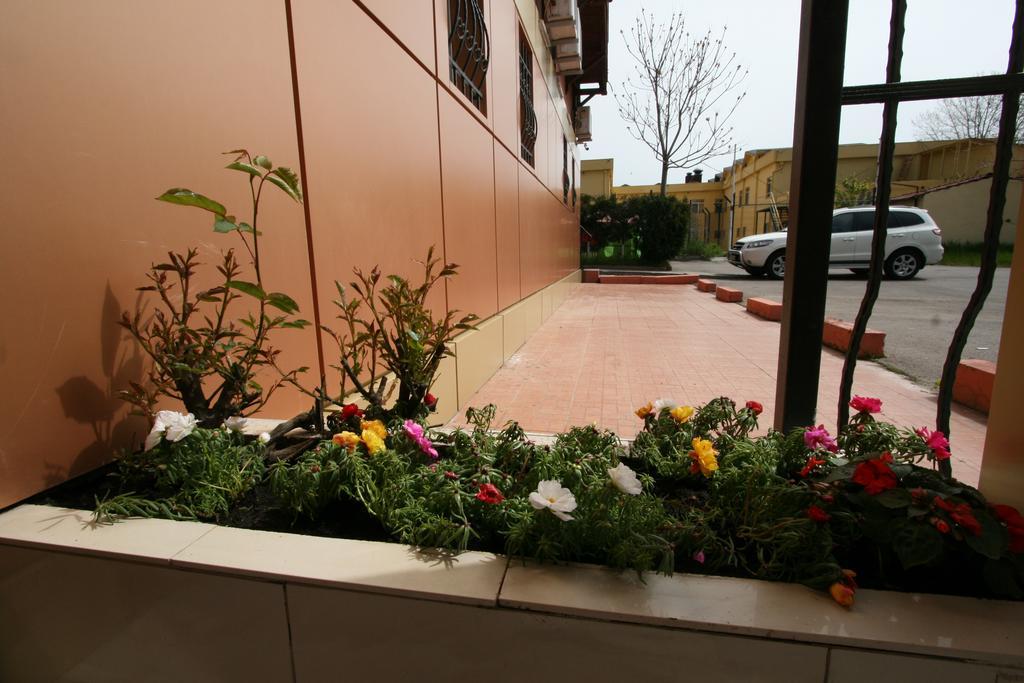 Hotel-hostel Mignon -private With Free Parking 招待所 Mamaia
